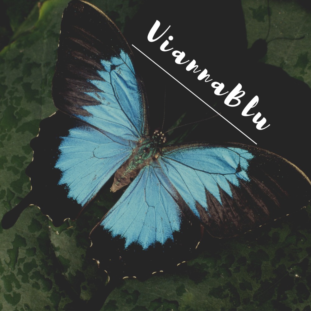 Welcome to ViannaBlu 🦋